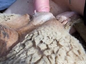 Guy uses his cock to keep the beast real happy