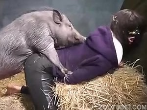 Pig fuck girl XNXX